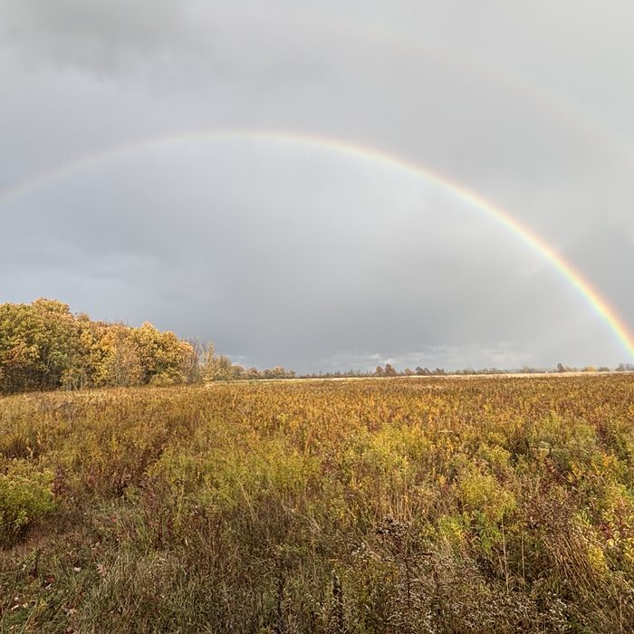 Rainbow arcing over an autumn grassland